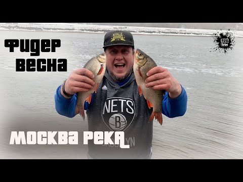 Видео: Курьяновский сброс, Ловим Плотву, Язя и Леща на Москва реке ))  Рыбалка на фидер весной 2024