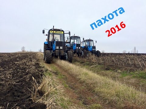 Видео: Пахота 3-х МТЗ 892 (под ярый ячмень)