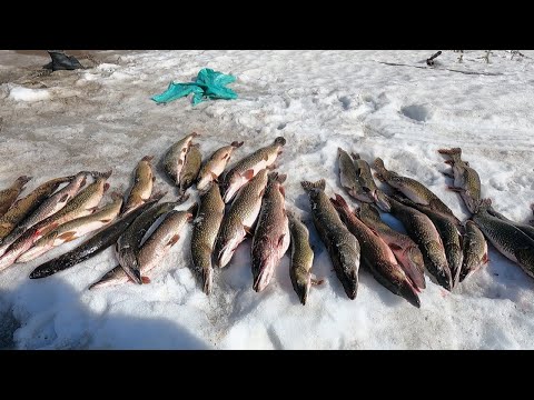 Видео: ЗАКРЫТИЕ ЗИМНЕГО СЕЗОНА 2025 (ЧАСТЬ 6) ЗАКЛЮЧИТЕЛЬНАЯ