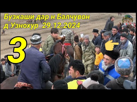 Видео: Бузкаши дар н Балчувон д Узнохур 29.12.2024. Кисми 3