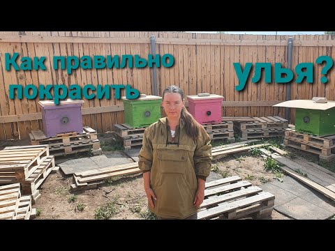 Видео: Как правильно покрасить улья