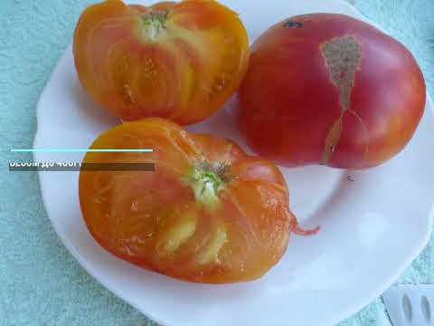 Видео: Супер-Каталог на 2025год. Часть 5, заключительная. Проверенные временем сорта