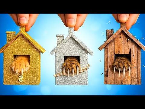 Видео: УНИКАЛЬНЫЕ ПЕТ-ЛАЙФХАКИ 2025! 🐶