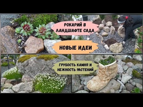 Видео: Рокарий в ландшафте сада. Новые идеи.