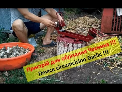 Видео: Цікавий Пристрій для обрізання Часнику | Огляд та Принцип Роботи | Device for circumcision Garlic