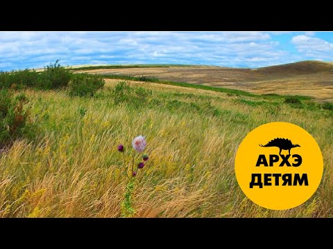 Видео: Великая степь | Александр Хабургаев (выпуск 15)