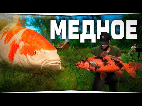 Видео: Медное озеро • Река Вьюнок • Русская Рыбалка 4