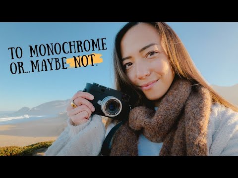 Видео: Стоит ли мне просто купить M11 Monochrom?