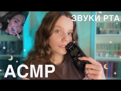 Видео: АСМР полчаса покусываний ТАСКАМА 🐾 Звуки Рта (зацикленное) 💞 asmr tascam biting looped