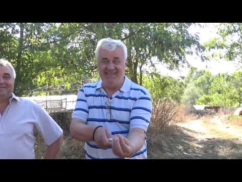 Видео: Печалбарите од село Бонче