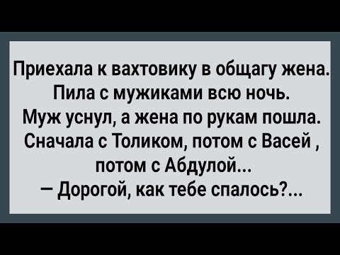 Видео: К Вахтовику в Общагу Приехала Жена! Сборник Свежих Анекдотов!