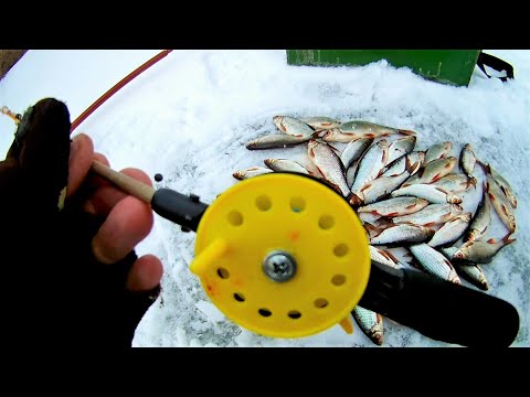 Видео: Зимняя рыбалка Как ловить зимой плотву на поплавок