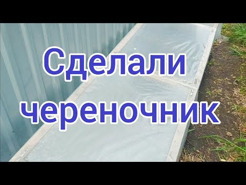 Видео: Еще один череночник. Перезимовали малыши в череночнике.🌱 Рабочие моменты