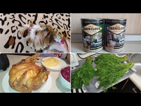 Видео: ПИТАНИЕ ЙОРКА 🐾 ЗАМОРОЗКА  на ЗИМУ/ УЖИН КУРИЦА на СОЛИ и САЛАТ