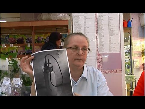 Видео: ДФ.Фитильный полив (из опыта О.Артёмовой)