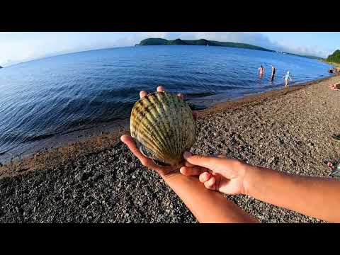 Видео: #2 Приморье. РУССКИЙ ОСТРОВ. Прогулка от мыса Ахлёстышева до п.Подножье