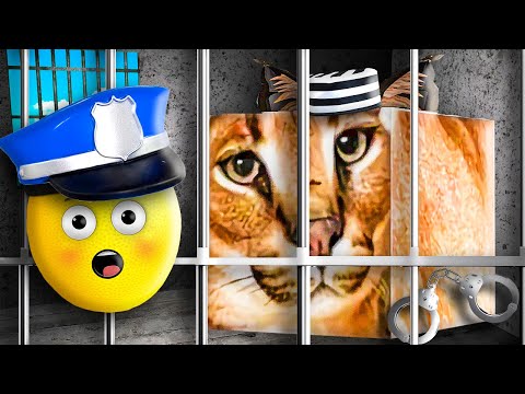 Видео: ПОБЕГ ШЛЕПЫ ИЗ ТЮРЬМЫ В ROBLOX