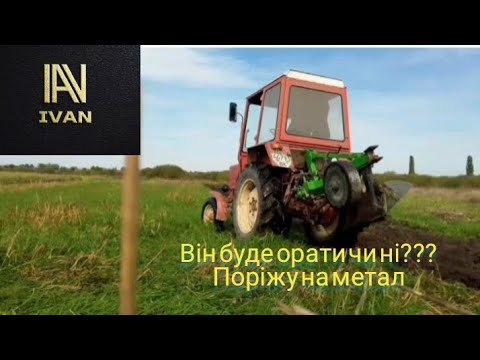 Видео: Оранка старичком@плуг Бомет@малина 2025 на Рівненщині 