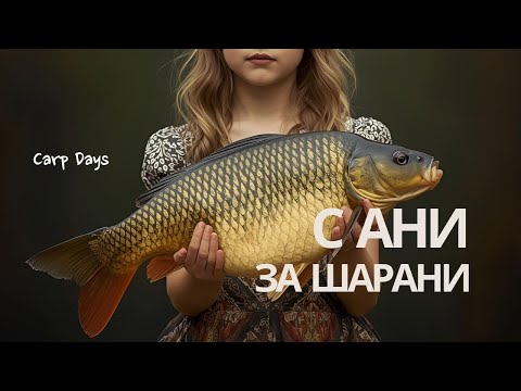 Видео: С Ани за шарани