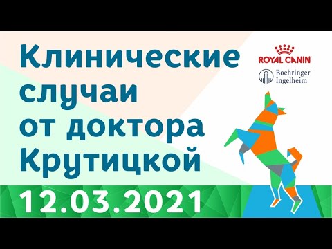 Видео: Клинические случаи от доктора Крутицкой 12 03 2021