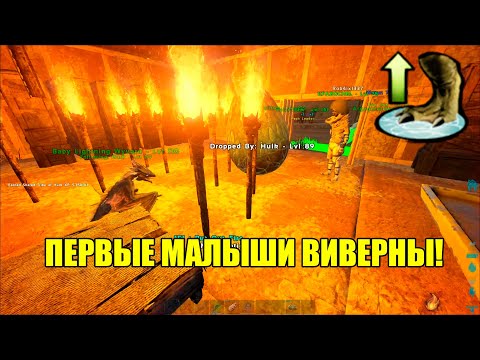 Видео: О, НЕТ! ОНИ РОДИЛИСЬ! | 16 | АРК БЕЗ КРИПОДОВ
