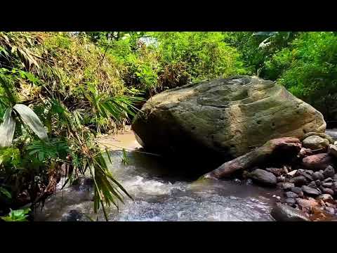 Видео: Течение речной воды между скалами приносит спокойствие