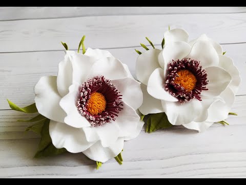 Видео: Фантазийные цветы из ФОАМИРАНА