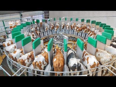 Видео: Инновационные технологии в сельском хозяйстве