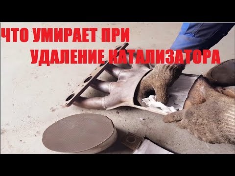Видео: РЕАЛЬНЫЕ МИНУСЫ УДАЛЕНИЯ КАТАЛИЗАТОРА ЧЕРЕЗ ГОД LADA VESTA/ЛАДА ВЕСТА