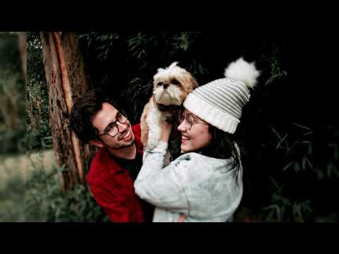 Видео: Ши тцу. Плюсы и минусы, Цена, Как выбрать, Факты, Уход, История