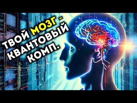 Видео: Квантовые вычисления в мозге или квантовое сознание