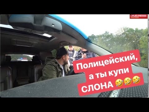 Видео: Полицейский а ты купи слона