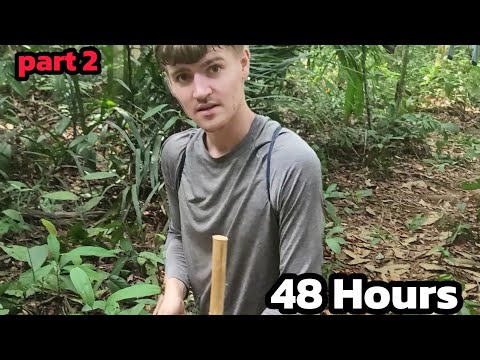 Видео: 48 часов жизни в тропических лесах Амазонки