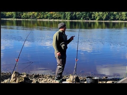Видео: Никого, а лещ клюёт. Пришёл затемно на реку половить леща. 
