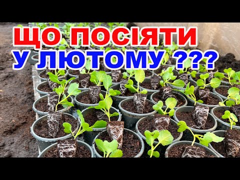 Видео: Завжди сіємо овочі у ці числа !