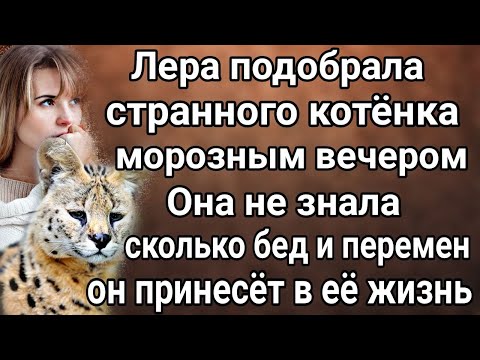 Видео: Лера и котёнок
