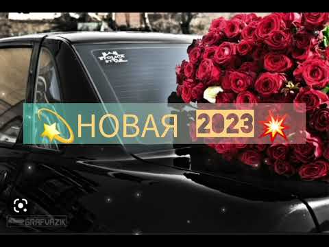 Видео: ⚜цыганская полька 💫новая 2023💥Ваня Дэхэнко⚜