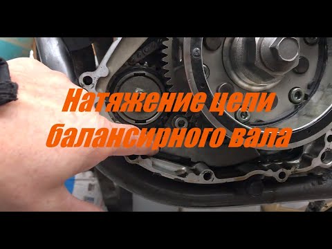 Видео: Натяжение цепи балансирного вала Suzuki DR650 RSE