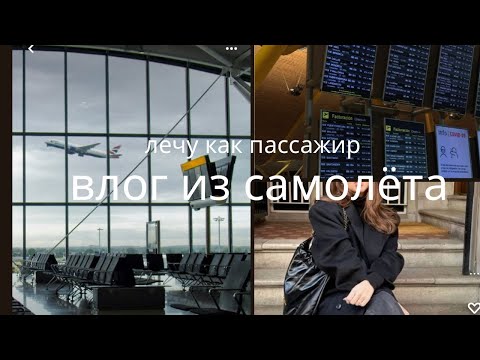 Видео: Перелет аэрофлотом, вернулась в Стамбул, где был мой кот месяц?