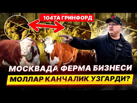 Видео: МОСКВАДА ФЕРМА БИЗНЕСИ МОЛЛАР КАНЧАЛИК УЗГАРДИ 104 ТА ГРИНФОРД @TOMOSHATVN1