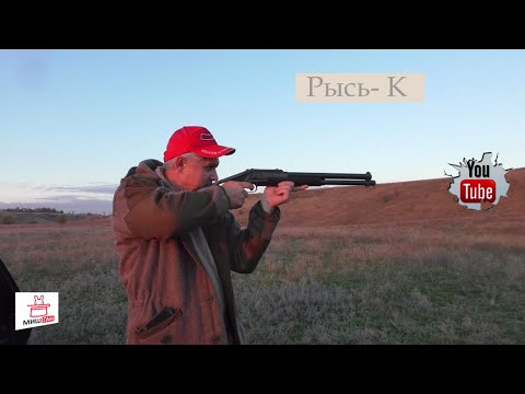 Видео: Рысь- К