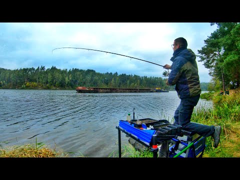 Видео: Рыбалка с Чемпионом! Отличный Фидерный Улов на Гродненском ВДХ!