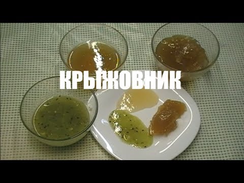 Видео: 3 СПОСОБА ЗАГОТОВКИ КРЫЖОВНИКА НА ЗИМУ. ВАРЕНЬЕ ИЗ КРЫЖОВНИКА.