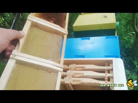 Видео: Работа с отводками УС