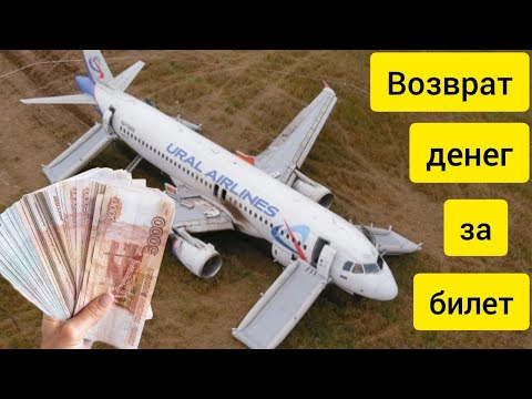 Видео: Возврат денег за билеты Уральских авиалиний. Суд с Аэрофлотом. Лайфхаки