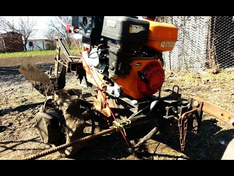 Видео: Мотоблок тяни-толкай , посев кукурузы мотоблоком