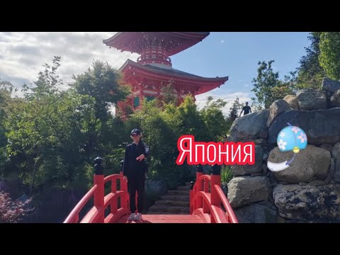 Видео: 🍥🎐💗Японский сад🍡🇯🇵🎎         1 июня.