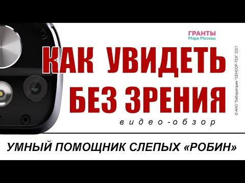 Видео: Умный помощник слепых и слепоглухих людей Робин