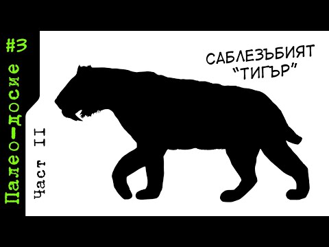Видео: ПАЛЕО-ДОСИЕ: Смилодон (Част II)