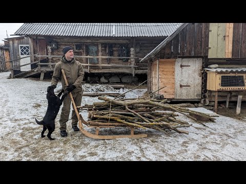 Видео: Жизнь в горной деревне вдали от цивилизации, заготовка дров на санях.
